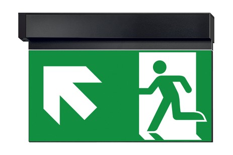 DST-1667 Ikus 320-b Daisalux Светильники сигнальные Черный 