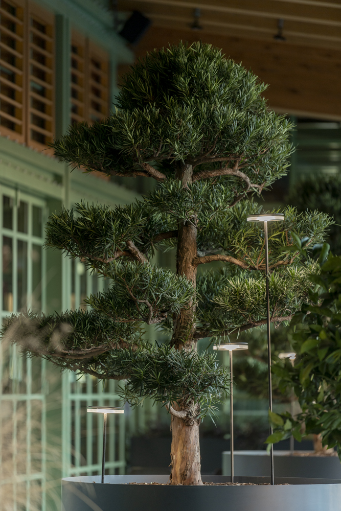 9440166 Мобильный светильник Platek CHIODO Picchetto (mobile)  CHIODO h. 600 mm - LED 4000K 93°  - Вид №8