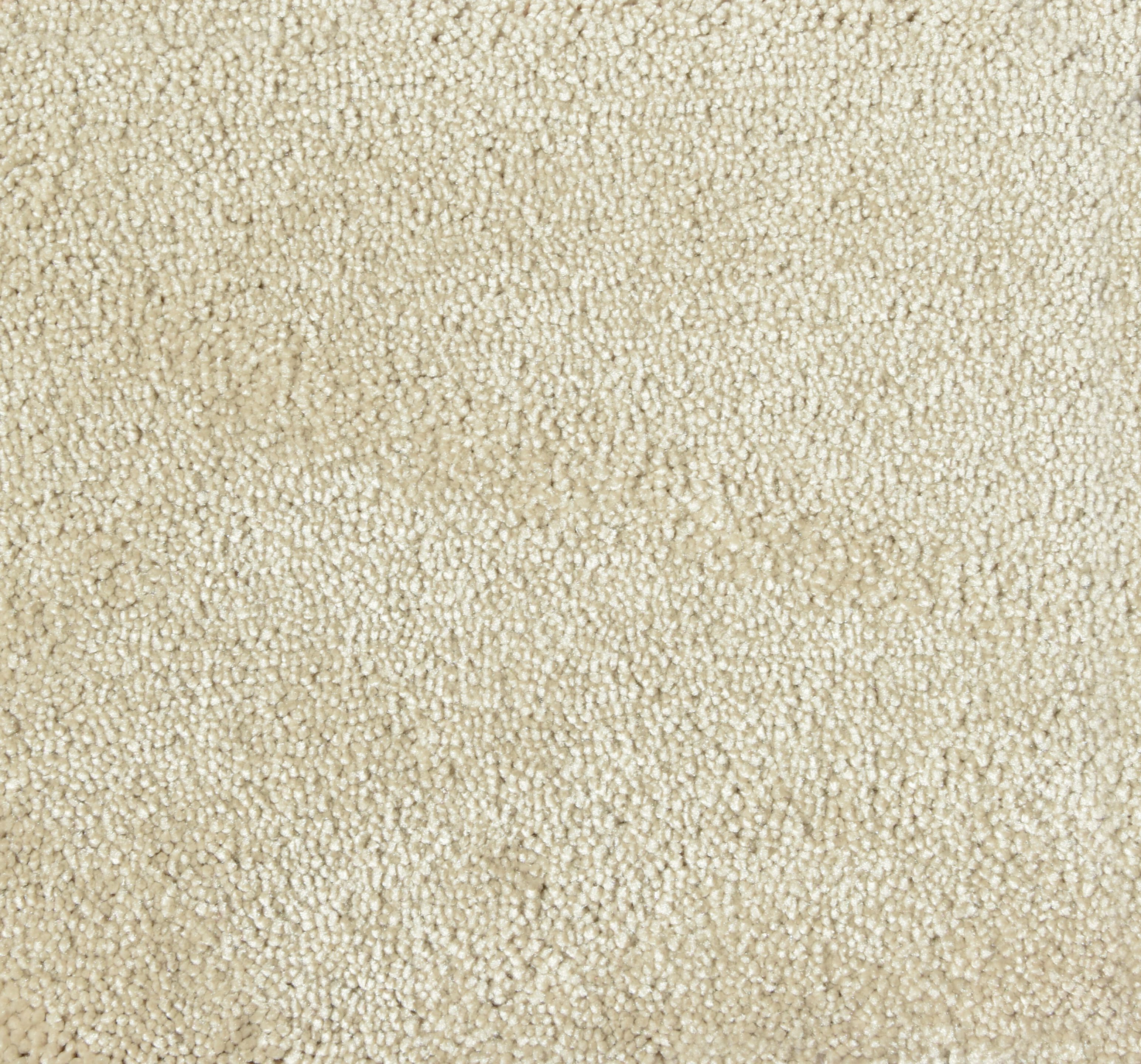 Ковер / Ковер Ademi Резка по запросу - от стены до стены (внутри помещений) ARCH-00149035 - Вид №2