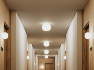 Настенный светильник / потолочный светильник из дутого стекла