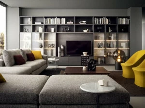 PIANCA Модульный книжный шкаф из дерева и стекла Spazioteca