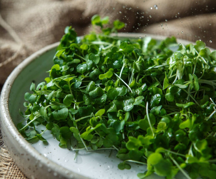 4680 Микрозелень брокколи Вкусляндия  - Вид №1