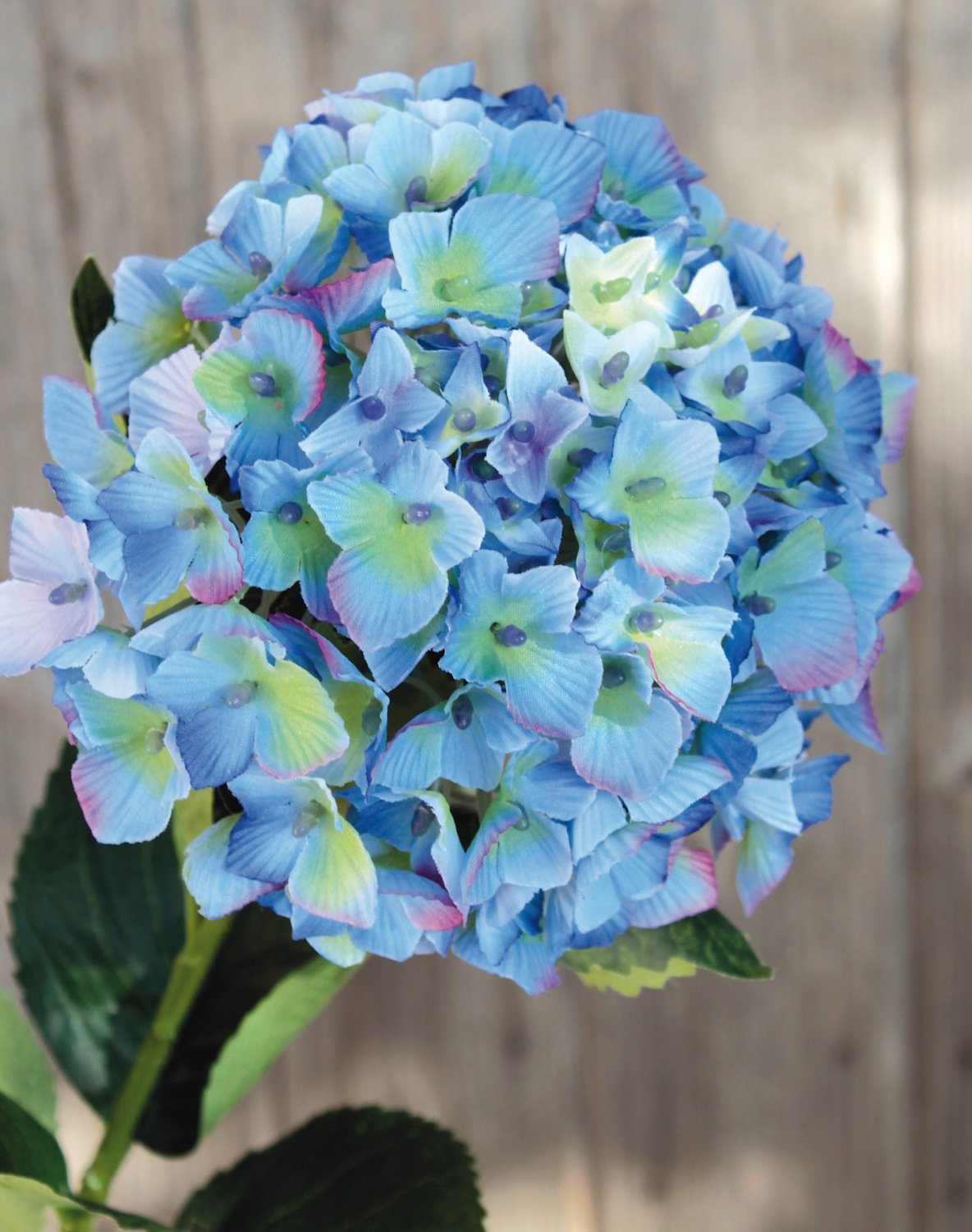 9853 102 a3 Шелковая гортензия, 66 см, сине-фиолетовая H-andreas 