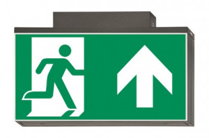 DST-2834 Lisu ceiling-mounted Daisalux Светильники сигнальные Металлический Серый