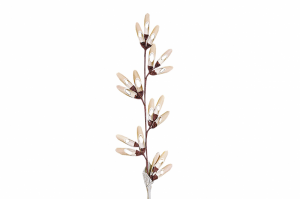 8008215159492 Декор Fiore 2 LINIE DESIGN