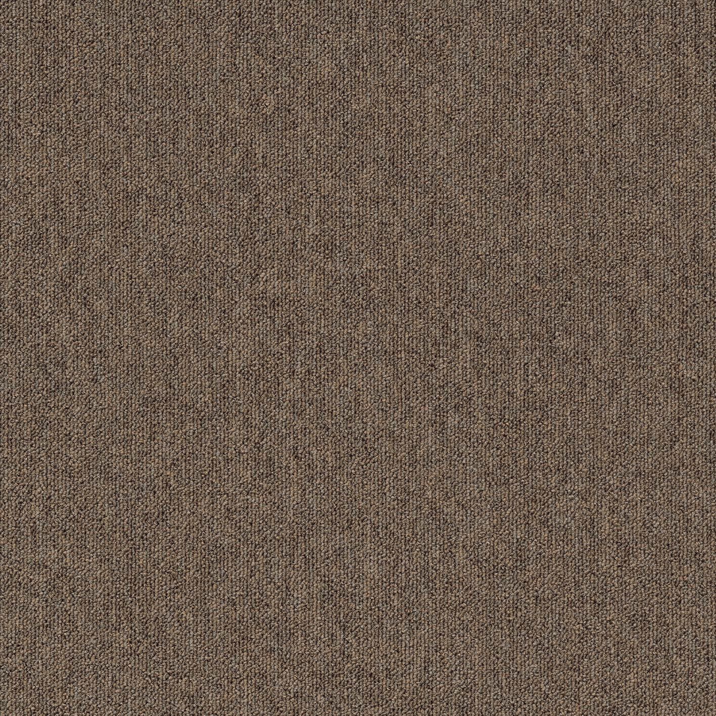 Нейлон®сплошной цвет ковер MODULYSS ALPHA ARCH-00083825 - Вид №10