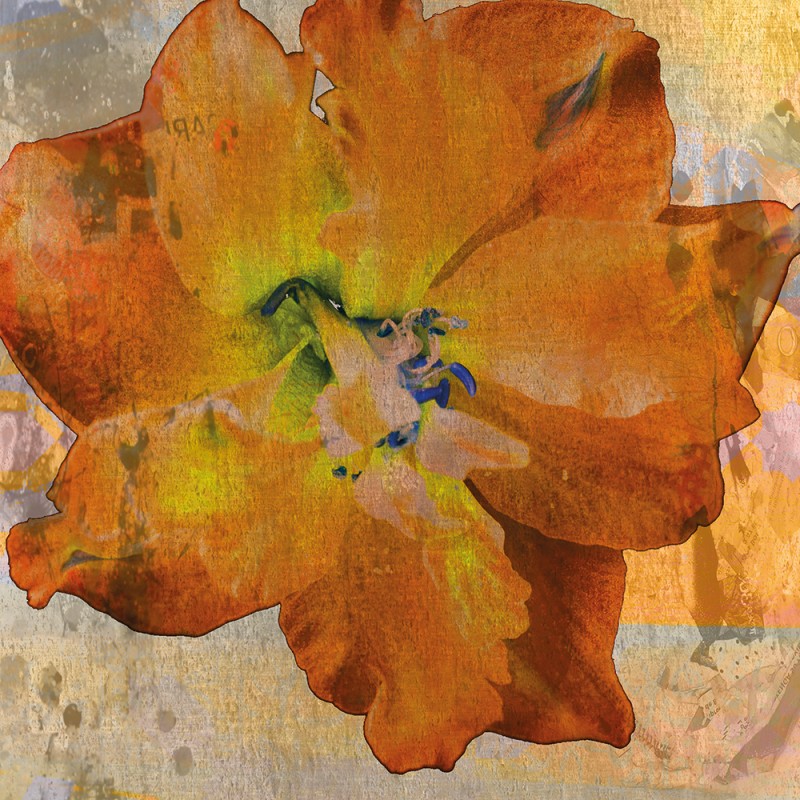 2260/CX38 Картина 1486 Adriani e Rossi 