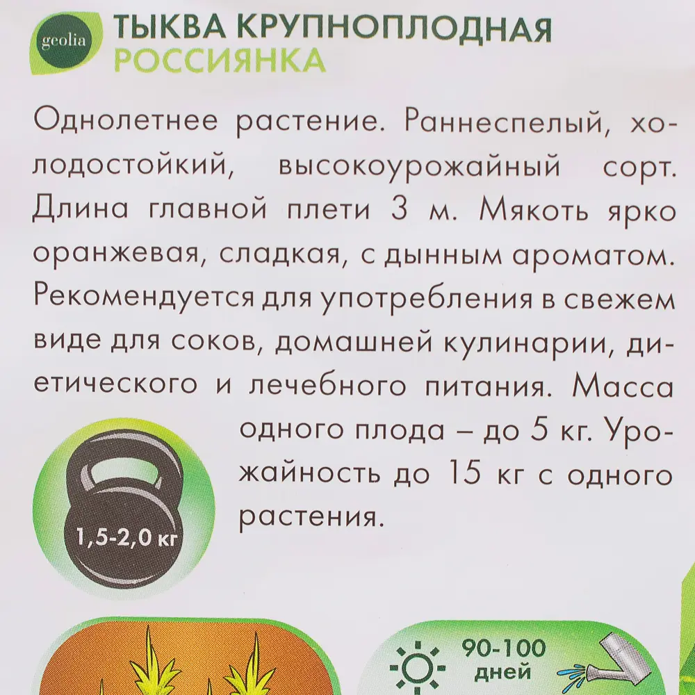 Семена тыквы Россиянка от GEOLIA - сладкий урожай для холодного климата 17584874 STLM-0008331 - Вид №2