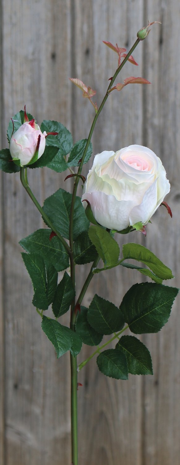 2628 705 a3 Шелковая роза, 1 цветок, 1 бутон, 80 см, бело-розовая H-andreas 