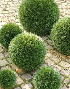 4880 883 a3 Пластиковый мяч для травы, синтетический материал, Ø 12 см, зеленый H-andreas