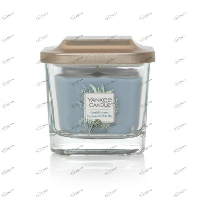 Свеча маленькая "Прибрежный кипарис" 96гр 18-28 часов YANKEE CANDLE  268058 Голубой 