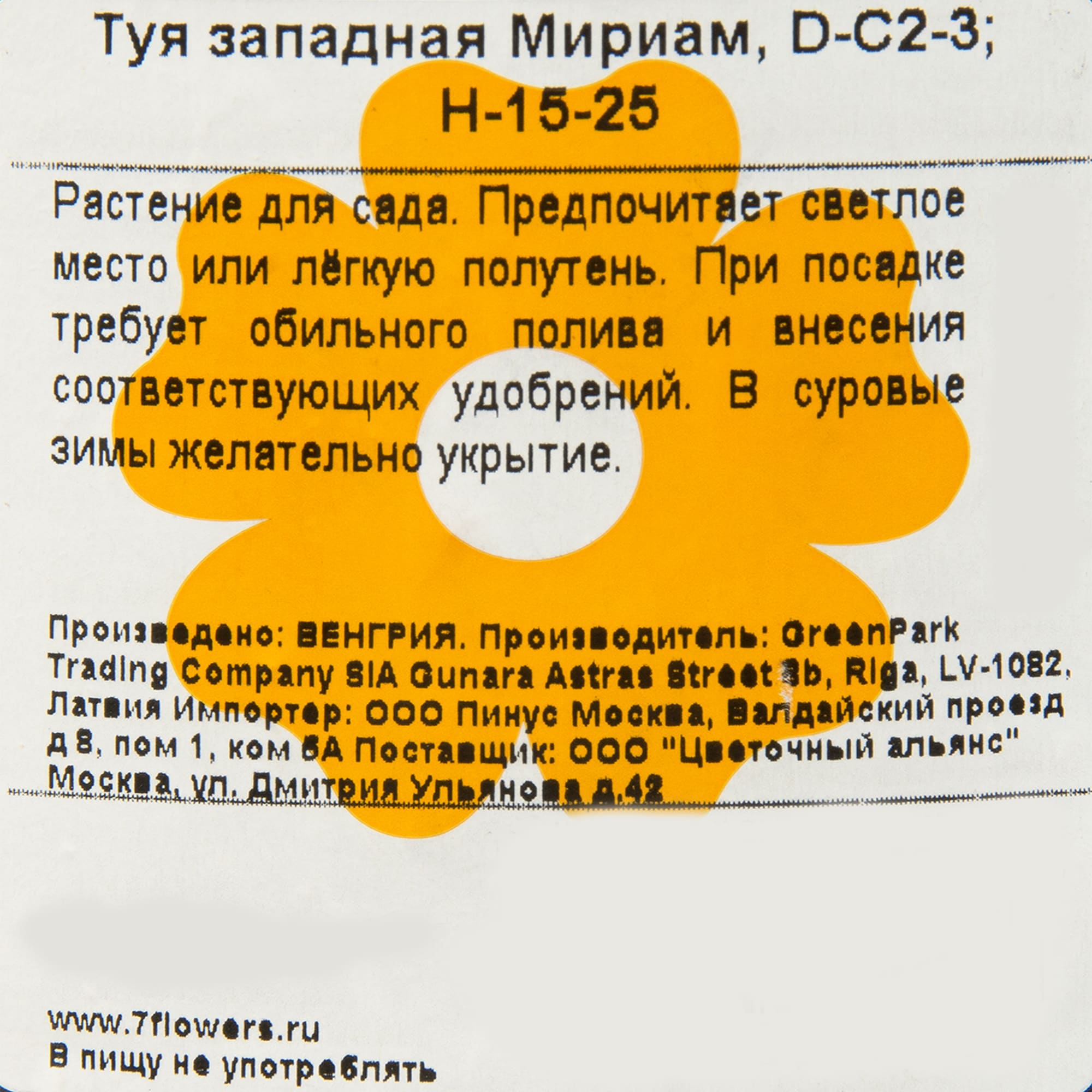 82176354 Туя западная «Мириам» 2-3 л 15-25 см Santreyd  - Вид №1