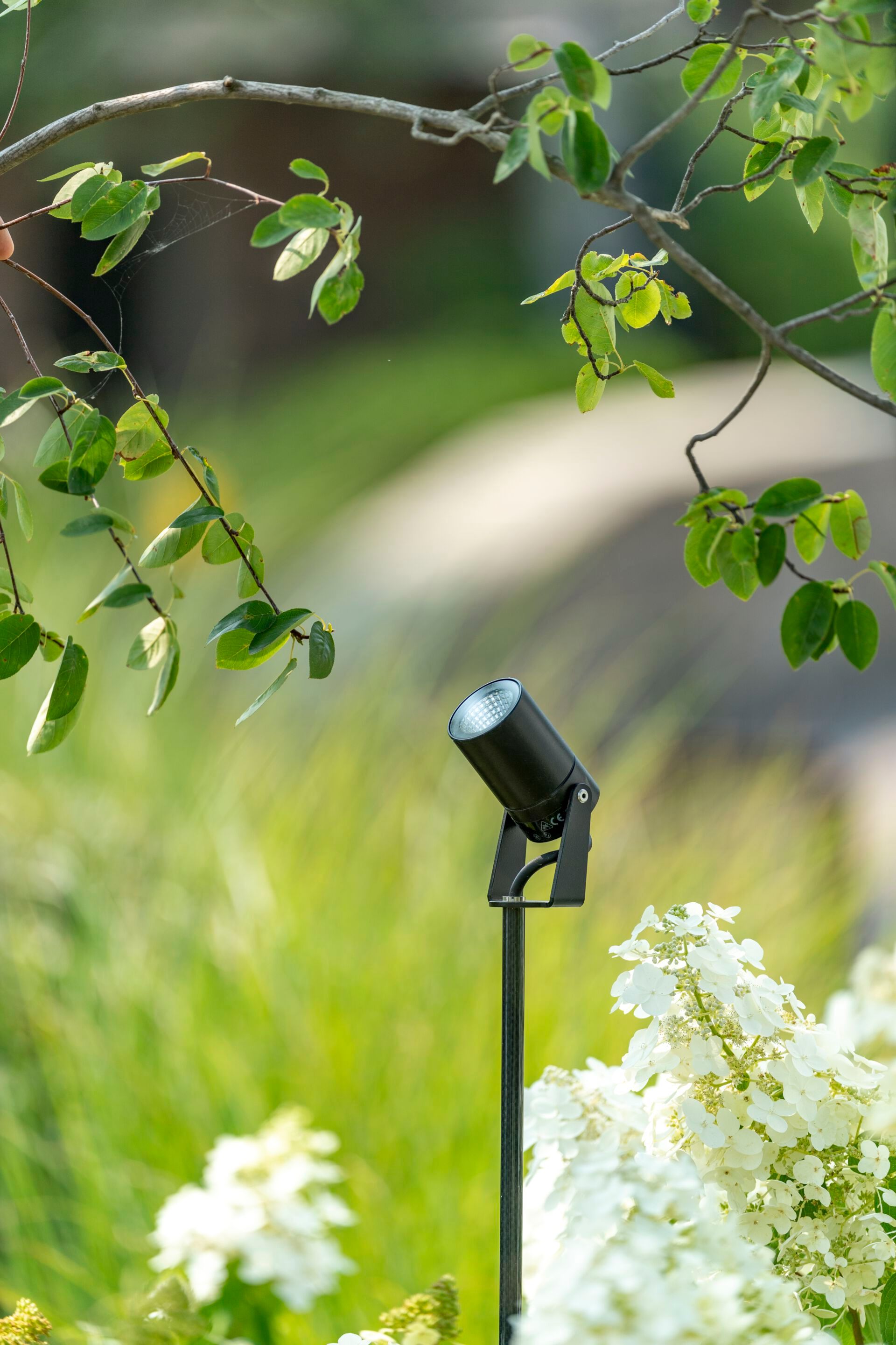 Алюминиевый регулируемый светодиодный наружный прожектор Platek Raygun ARCH-00093361 - Вид №1