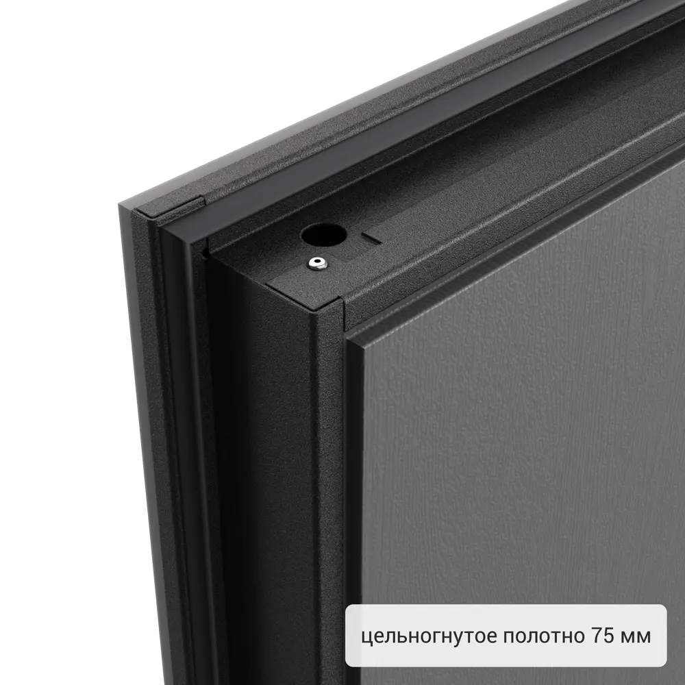 Дверь входная металлическая Хьюго 02 1000 мм правая TOREX STLM-2164186 - Вид №11