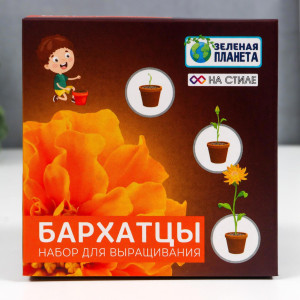 90694966 Набор для выращивания с глиняным горшочком Бархатцы STLM-0341622 SIMALAND