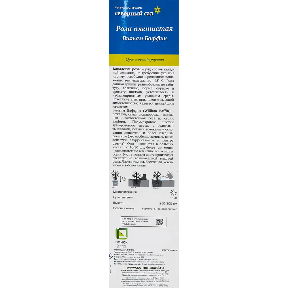 Роза канадская плетистая Вильям Баффин h100 см 86543306 STLM-2014313 Santreyd  - Вид №2