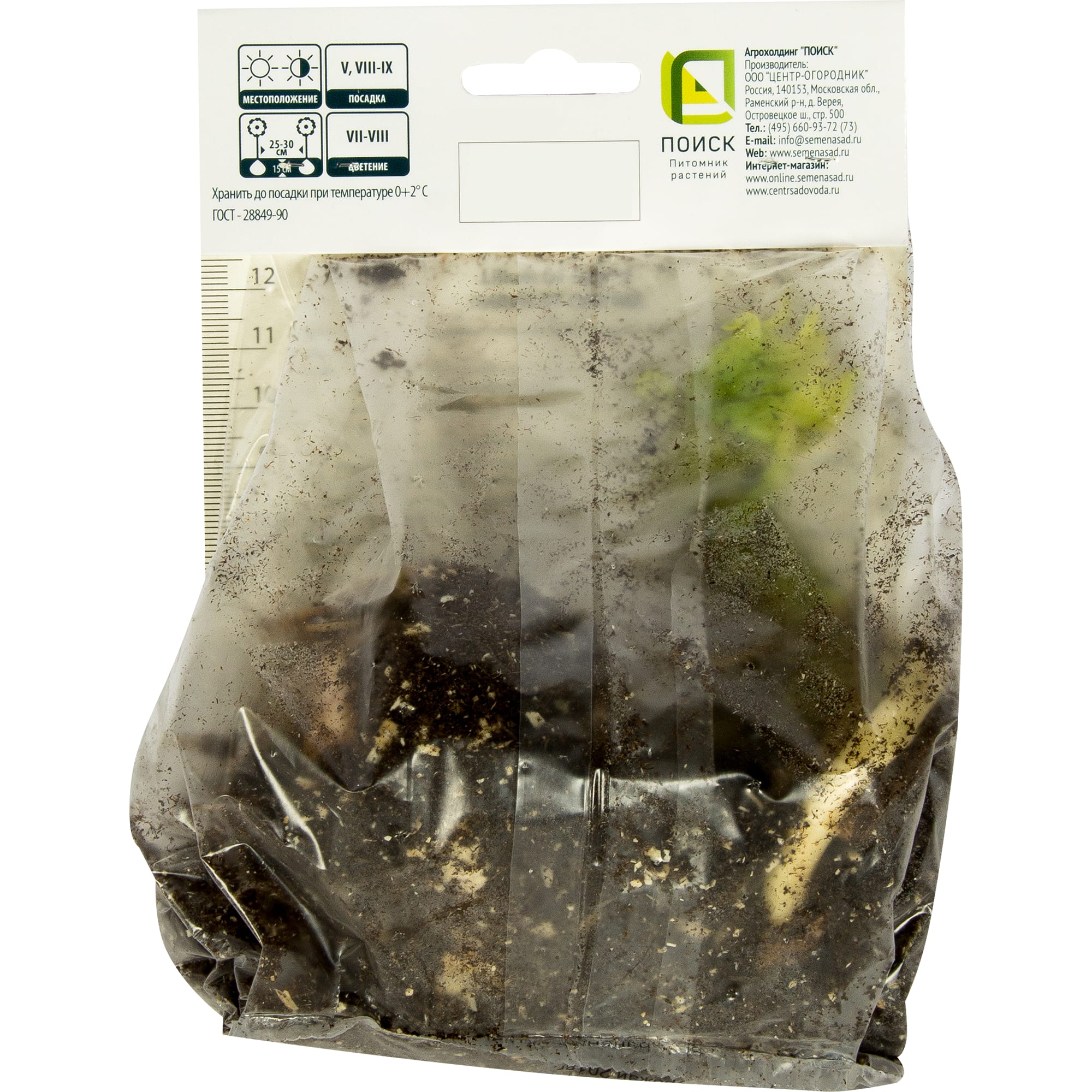 82319563 Лилия ОТ-гибрид «Конка д Ор» размер луковицы 14/16 Santreyd  - Вид №1