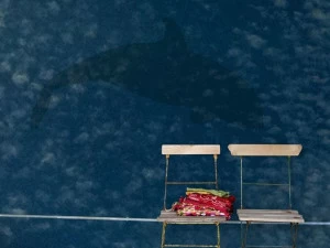 Wall&decò  Contemporary wallpaper 2012