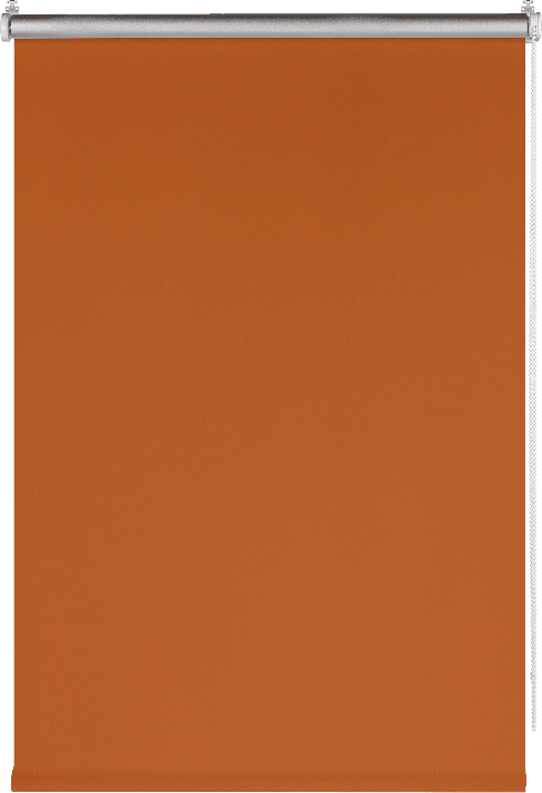 91080857 Рулонная штора 50x160 см цвет оранжевый Blackout Silver STLM-0473888 PRAKTO