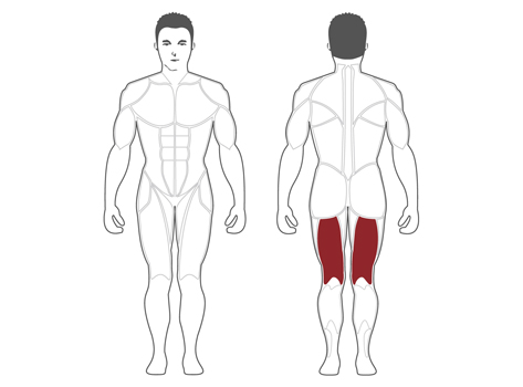 HLC400B Steel flex hope hlc400b сгибание ног стоя Steel Flex Hope - Вид №2