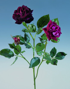 4528 449 a3 Искусственная роза, бархат, 2 цветка, 1 бутон, 70 см, бордовый H-andreas