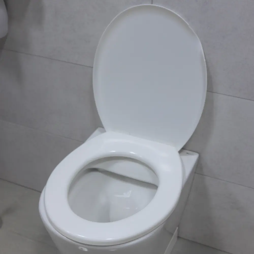 Сиденье для унитаза Berossi цвет снежно-белый STLM-2065428 - Вид №14