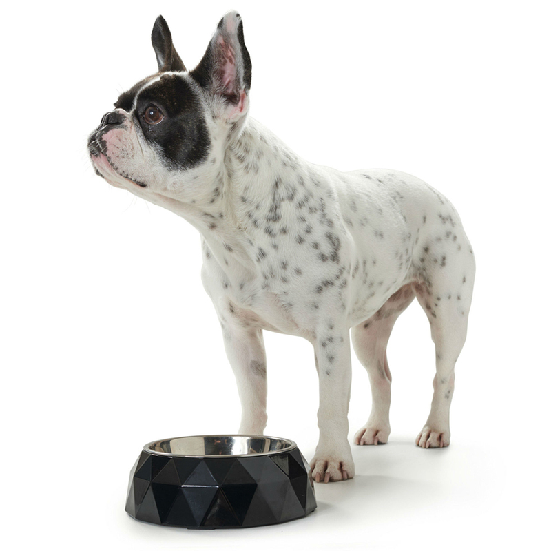 ПР0050310 Миска для собак меламиновая Kimberley черная 160мл HUNTER  - Вид №2