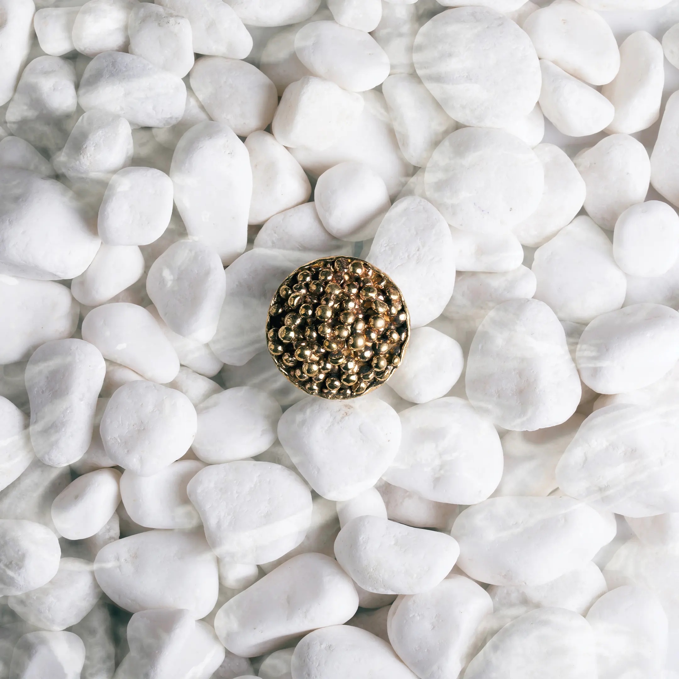 OC2033 Caviar PULLCAST Ocean Collection  - Вид №1