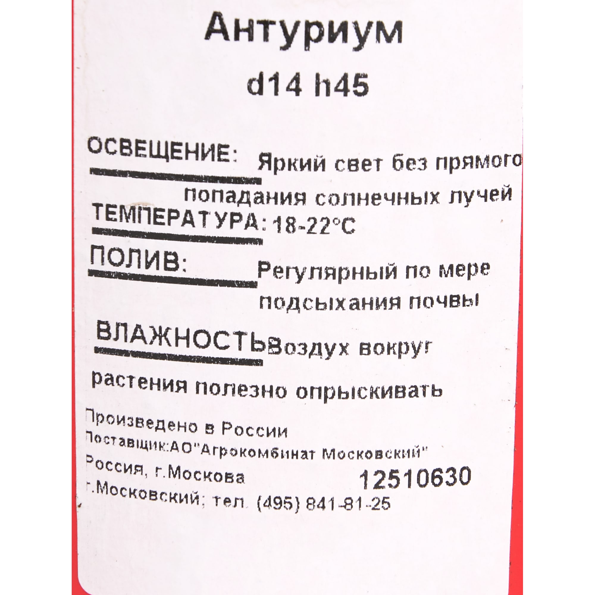 12510630 Антуриум 15х65 см Santreyd  - Вид №2