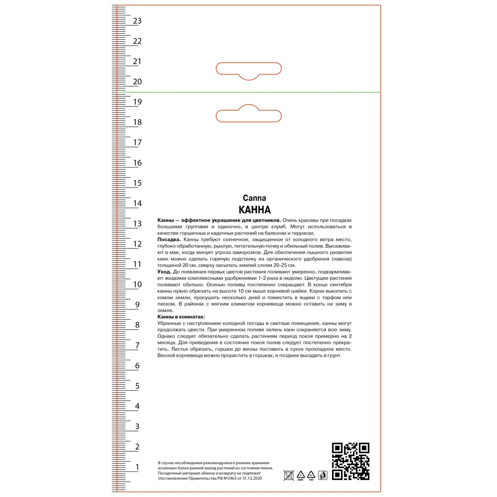 Канна зеленолистная Сэлмон Пинк ПОИСК STLM-2206083
