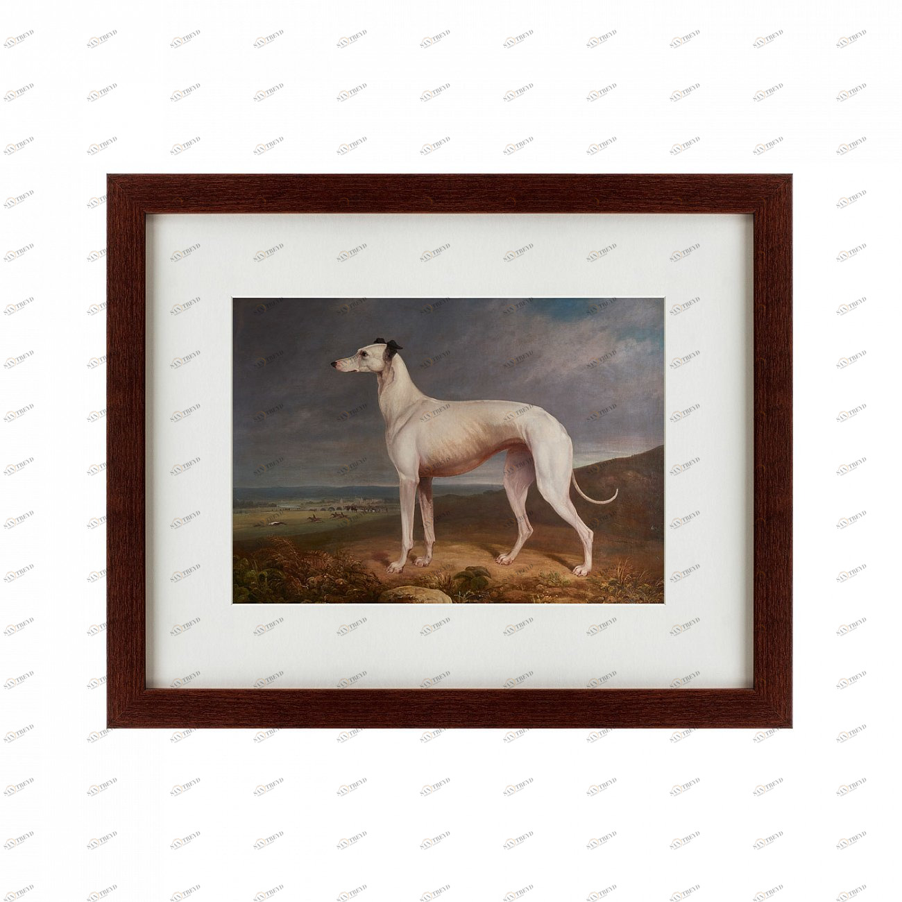 Картина в деревянной раме 52х42 см Portrait of a Greyhound, 1744 КАРТИНЫ В КВАРТИРУ  135546 Бежевый;белый;коричневый;разноцветный 