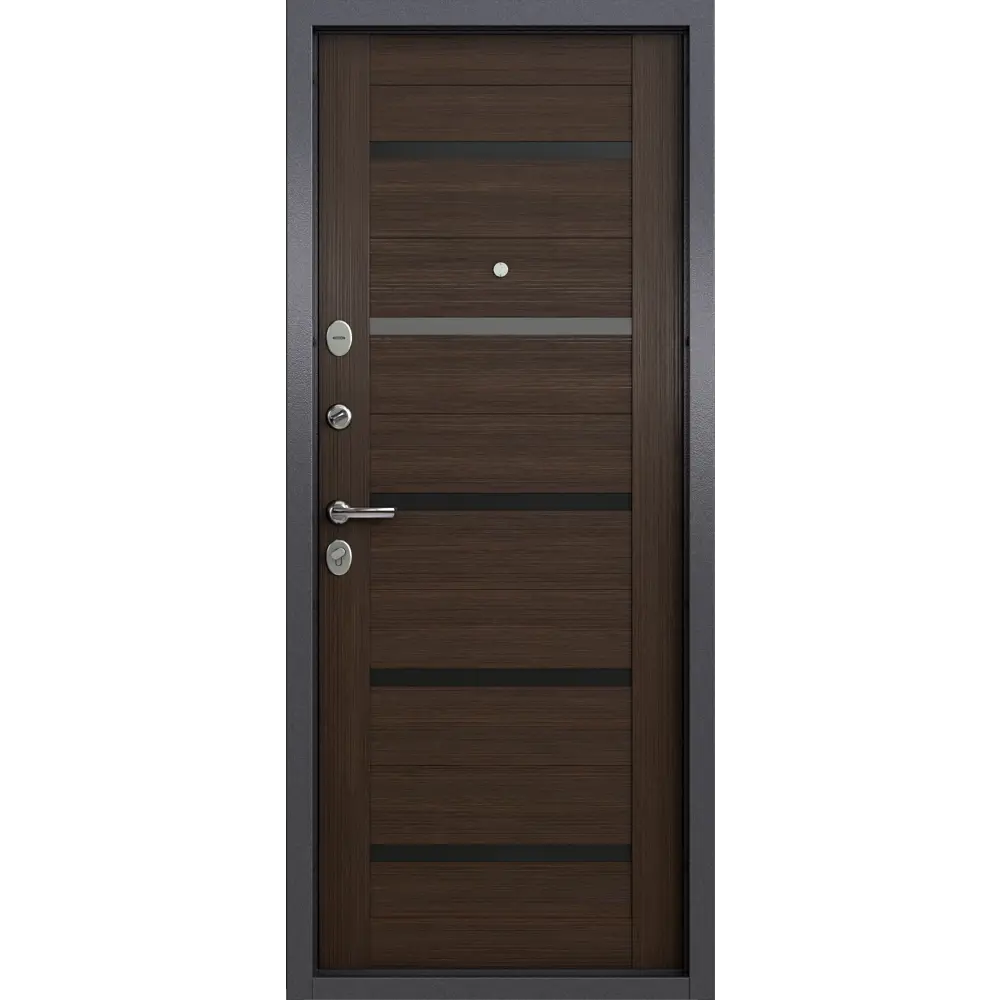 TOREX Клауд Вижн — металлическая входная дверь с защитой и стилем 89392522 STLM-1371887 - Вид №2