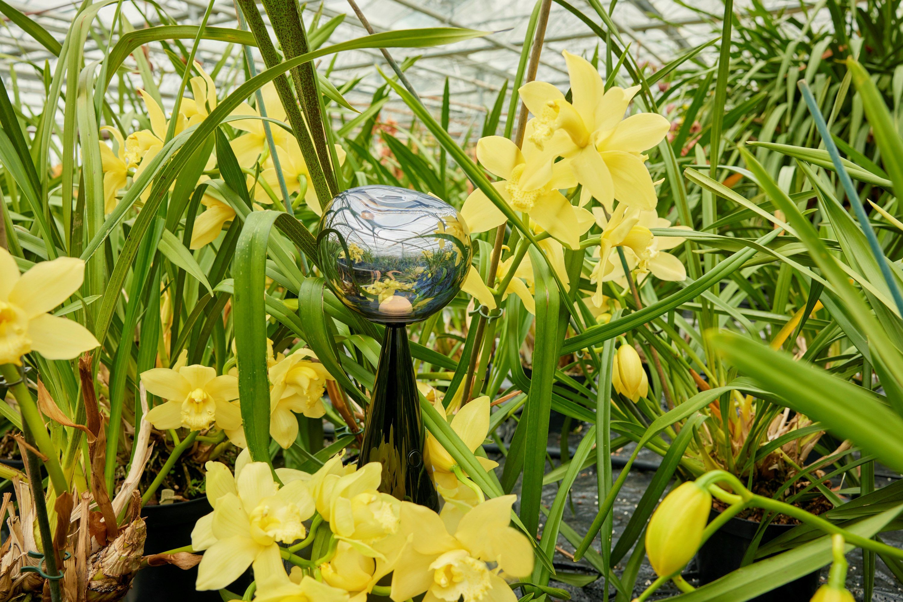 Светодиодная настольная лампа с батарейным питанием Tom Dixon Melt ARCH-00056851 - Вид №10