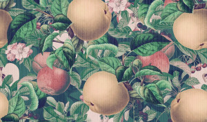 Обои с цветочными мотивами