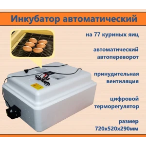 91059791 Инкубатор автоматический Несушка на 77 яиц 220 В 12 В с цифровым терморегулятором STLM-0960864