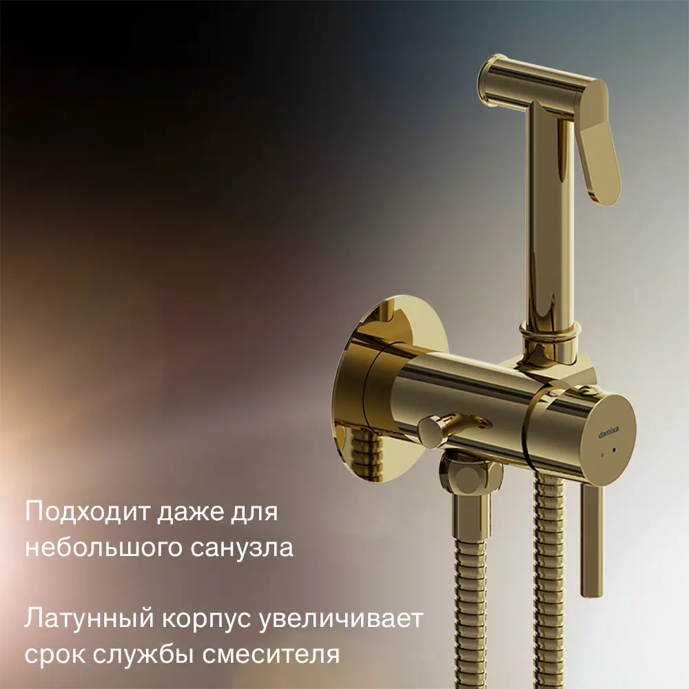 Гигиенический душ Damixa Rowan 213110500LM набор со смесителем цвет бронза STLM-2059767 - Вид №2