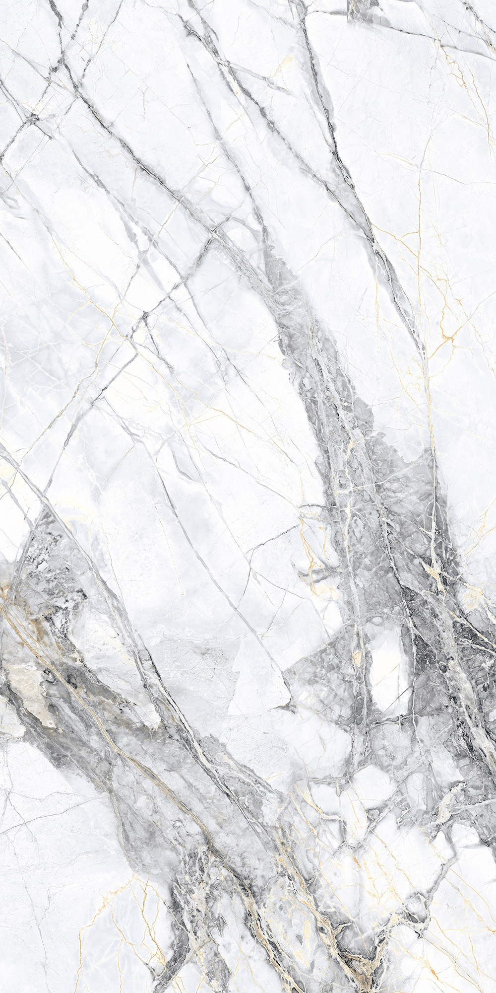 MALTA BIANCO LAPPATO ARCADIA CERAMICA CL4008-A - Вид №6