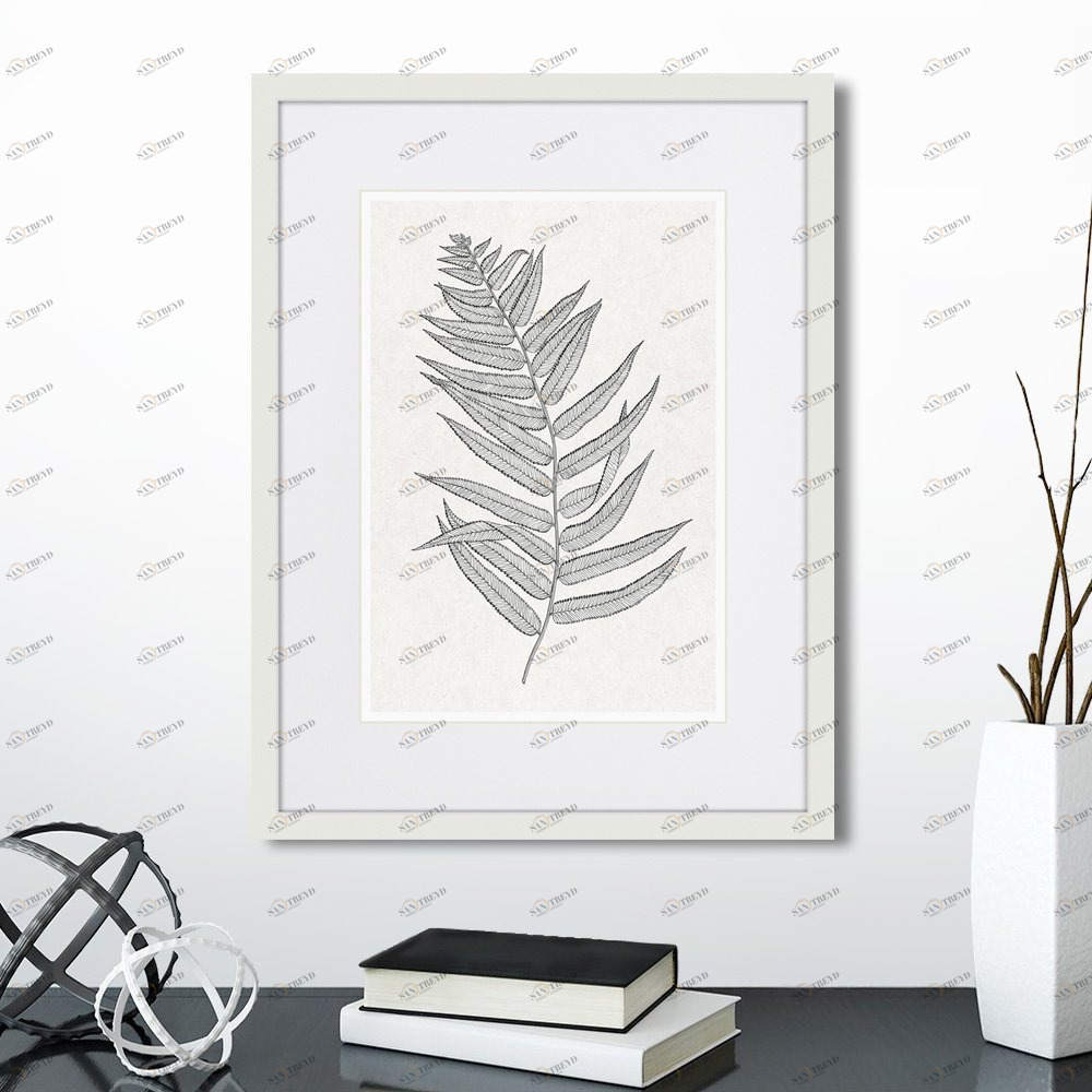 Картина белая 42х32 см The Fern Collection №4 КАРТИНЫ В КВАРТИРУ  00-3894676 Белый 