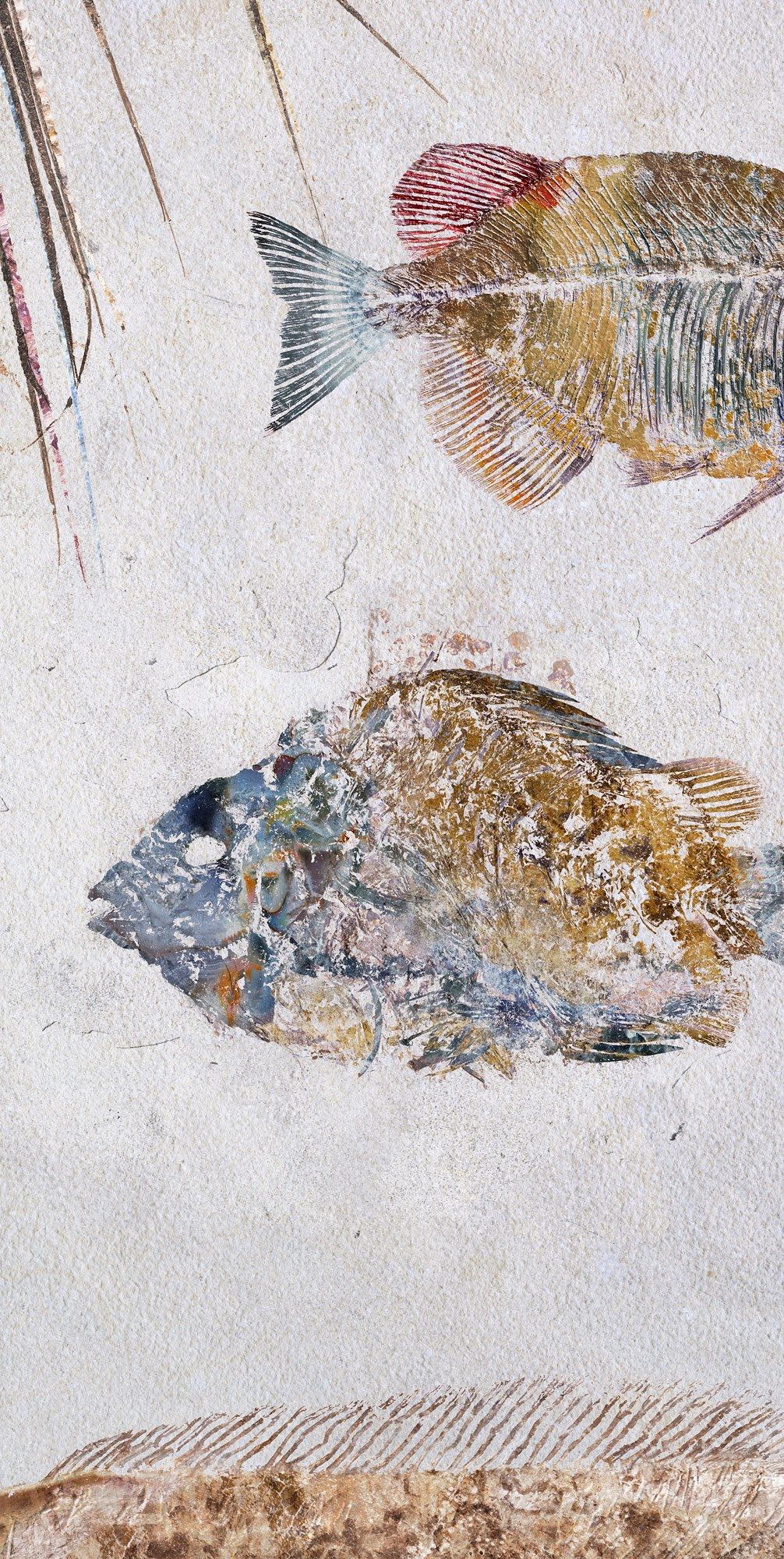 Декоративная панель из алюминия, стекла или ПММА Tecnografica окаменелости ARCH-00124451 - Вид №3