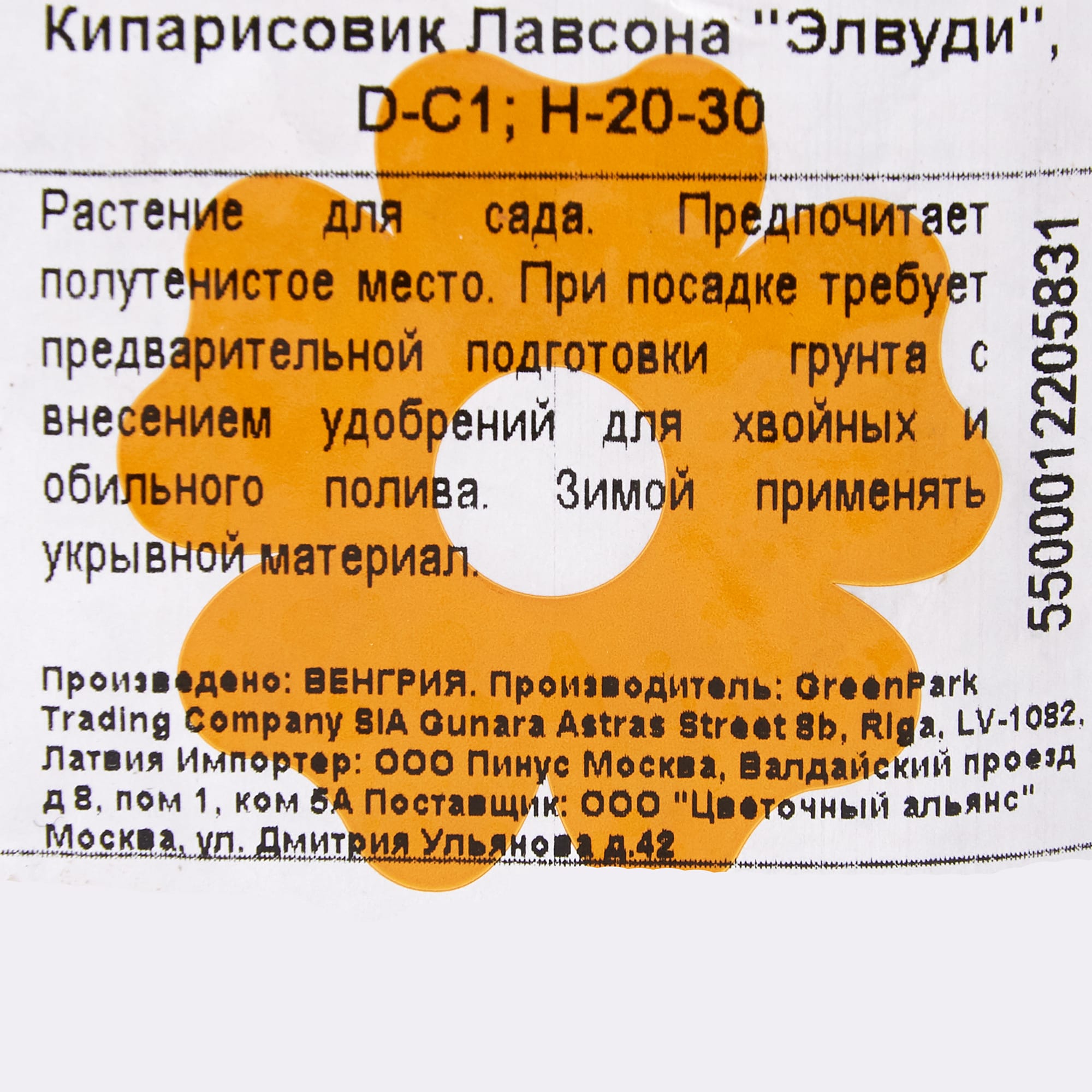 82176395 Кипарисовик Лавсона «Элвуди» 1 л 20-30 см Santreyd  - Вид №1