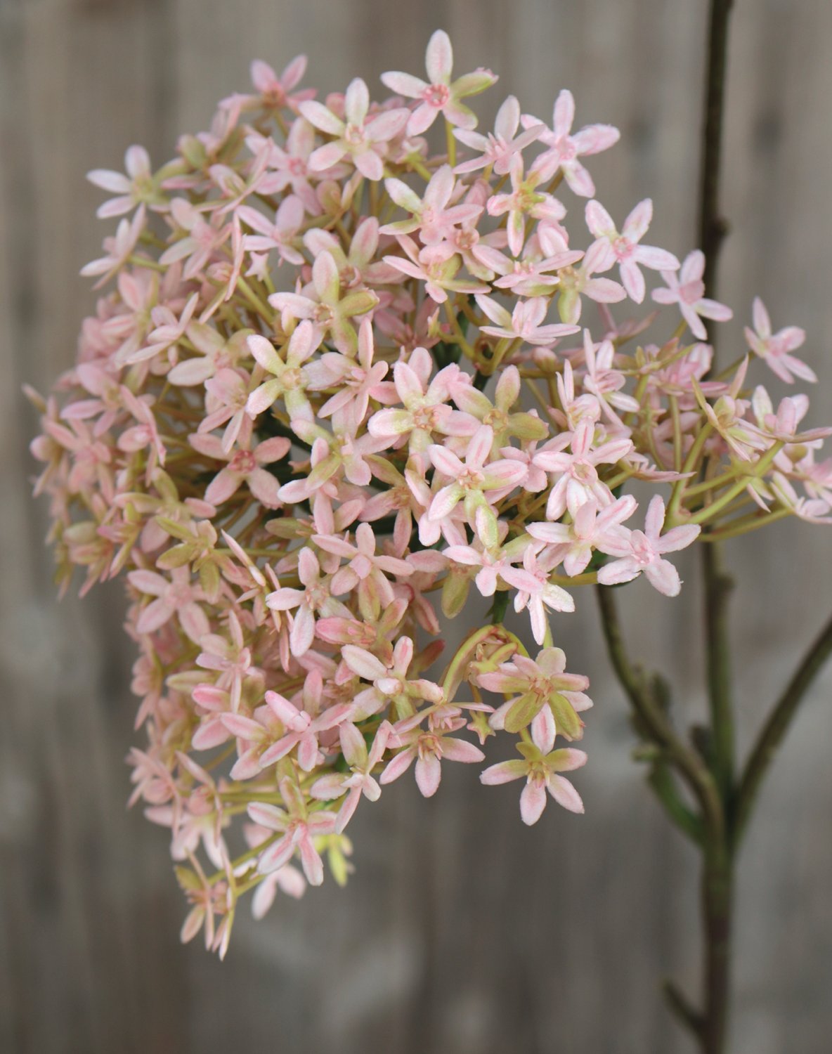 3304 508 a3 Искусственная корона, 3 цветка, 76 см, розово-зеленая H-andreas 