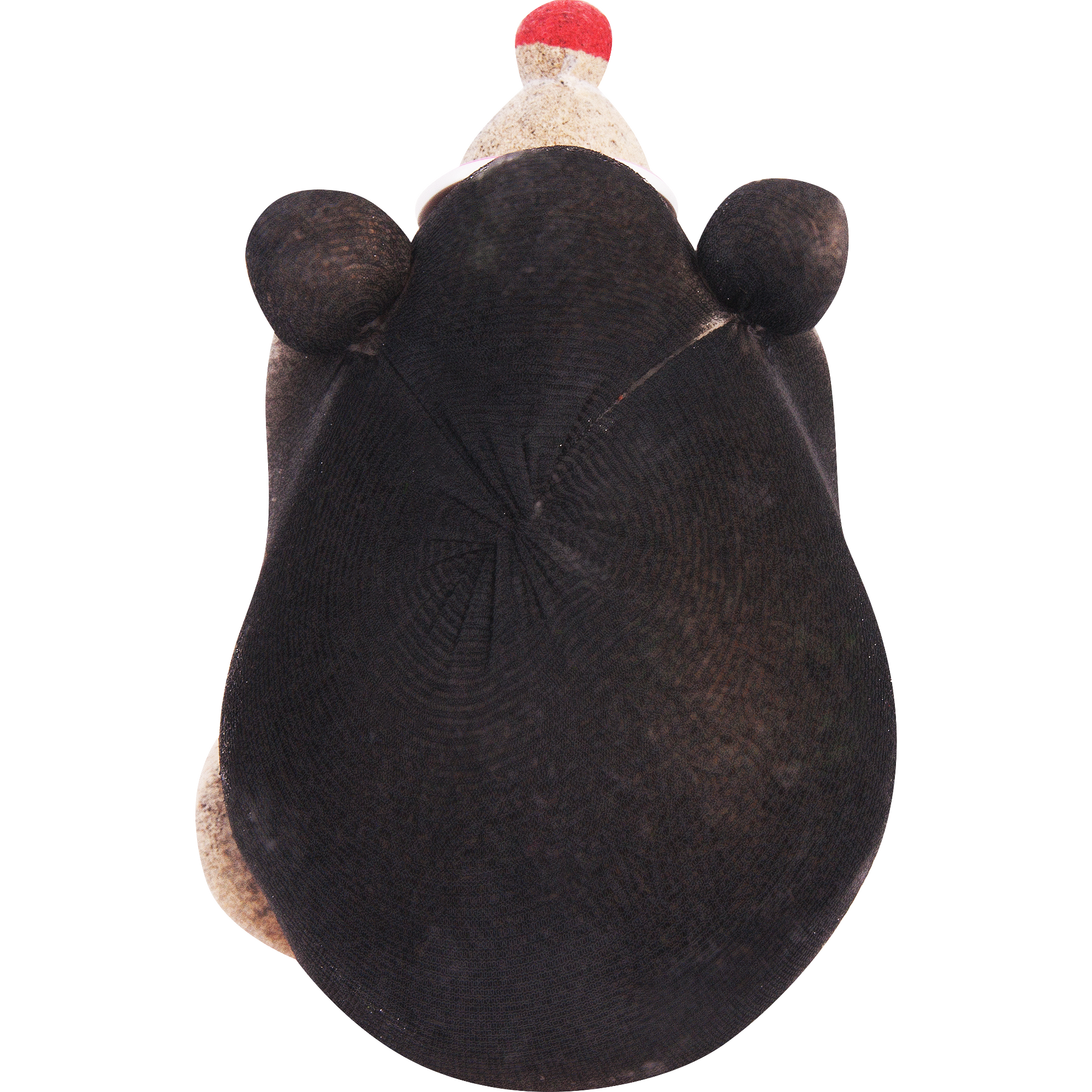 Травянчик Ежик Santreyd — живой декор с проросшей травой 14782306 STLM-0005103 - Вид №2