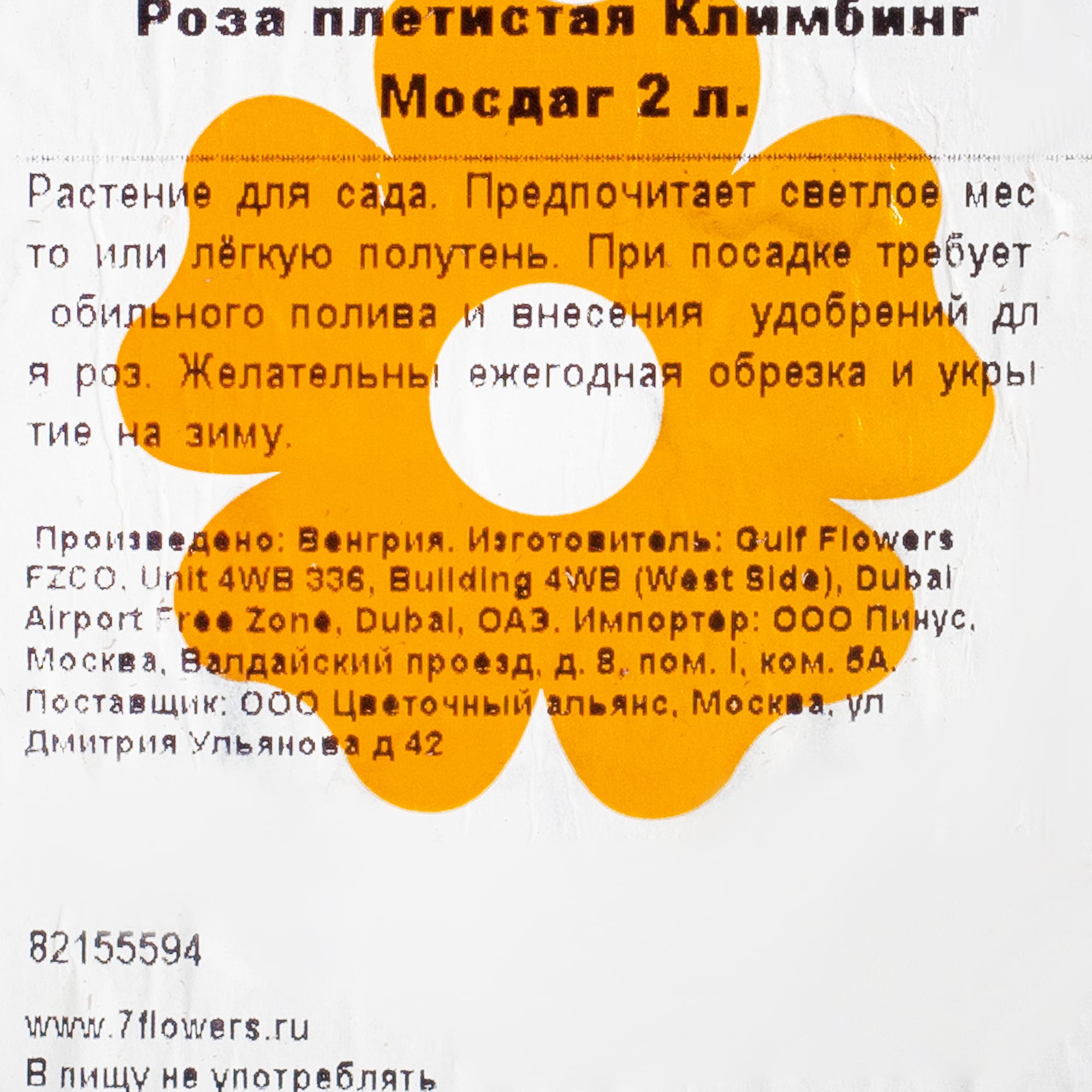 82155594 Роза плетистая Климбинг Мосдаг 2 л Santreyd  - Вид №1