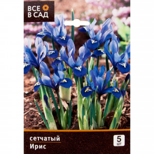 17977272 Ирис сетчатый