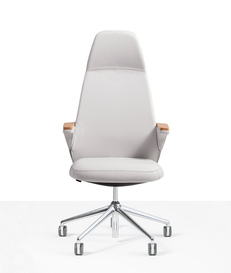 Офисное кресло с высокой спинкой с 5 спицами Moschella Beetle ARCH-00119170 - Вид №2