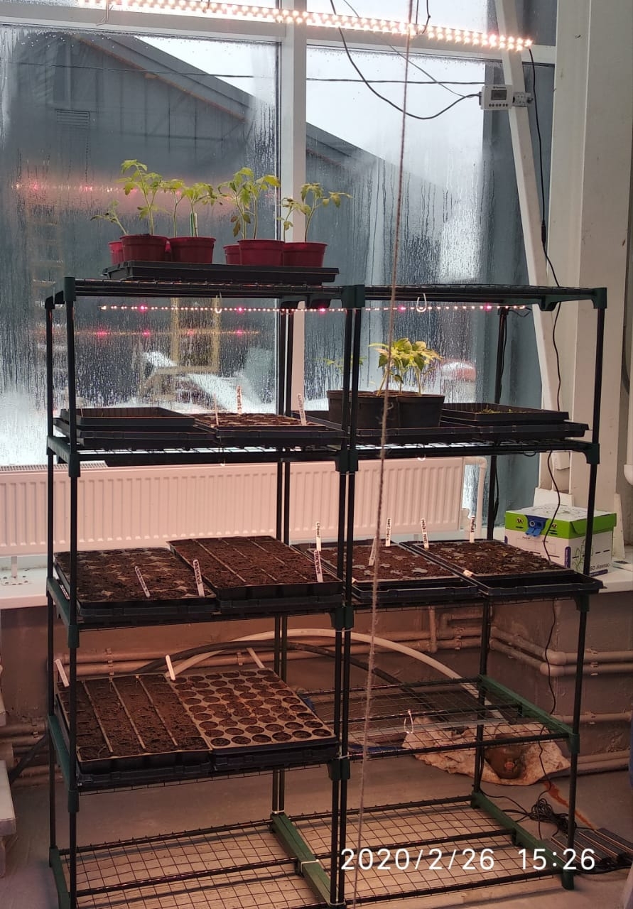 1913 Стеллаж универсальный 143*90*40 для рассады или цветов LAB.Space  - Вид №7