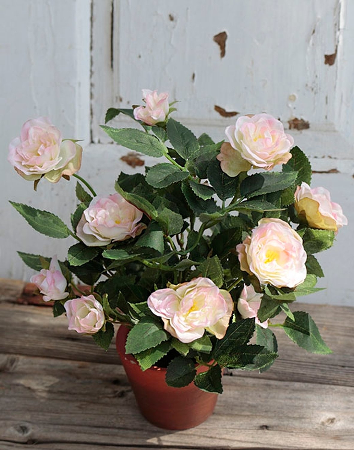 2146 500 a2 Шелковые розы кустовые, горшечные, 23 см, светло-розовые H-andreas  - Вид №1