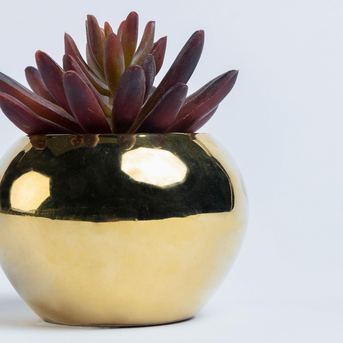 068870 Flower Искусственный суккулент в горшке маленький La Forma Sedum