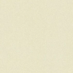 949919 Обои Rasch Maximum XIV