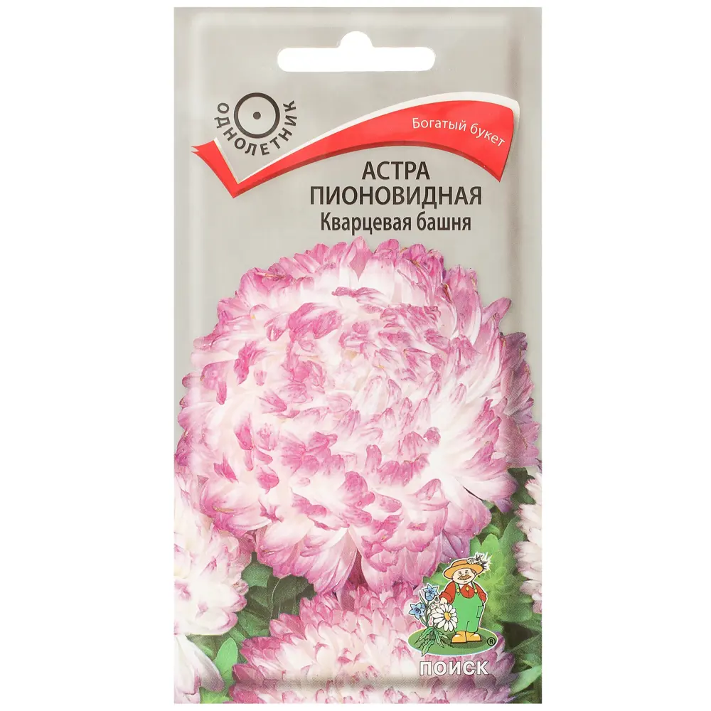 Астра пионовидная «Кварцевая башня» 17229506 STLM-2178747 ПОИСК 